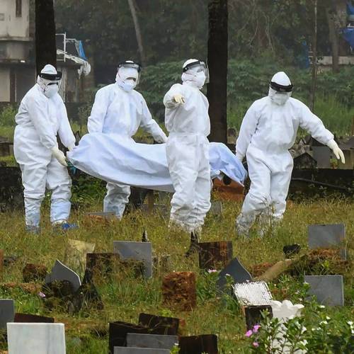 印度尼帕病毒疫情真实存在吗？一文带你了解详细情况