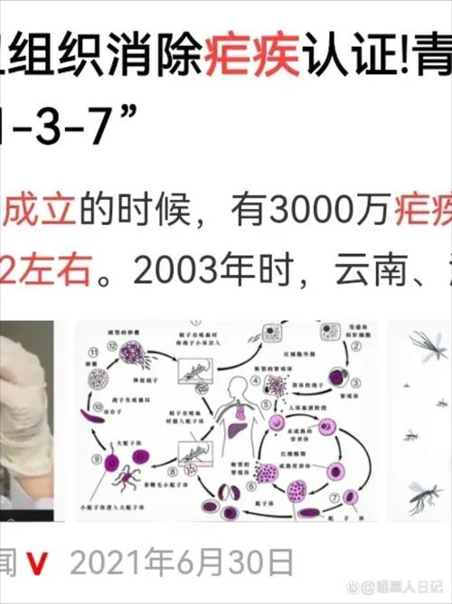 此次疫情的源头到底是什么__疫情源自