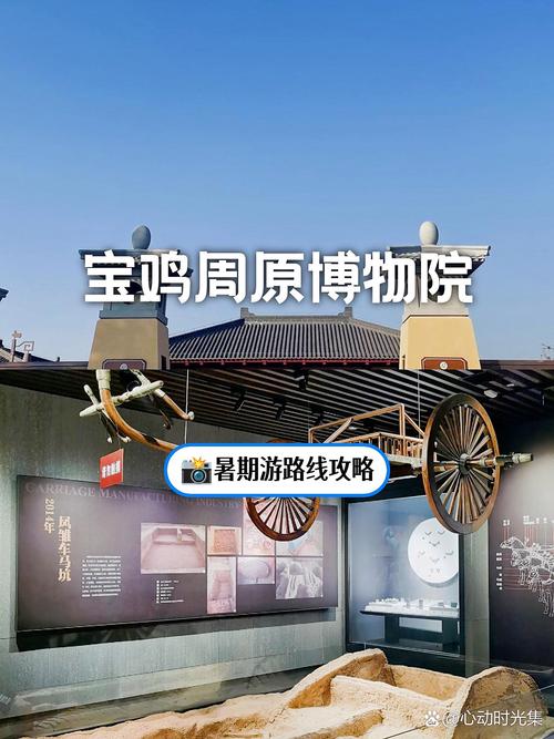 清明后宝鸡返宝政策及西安出行政策、博物院暑期开放调整