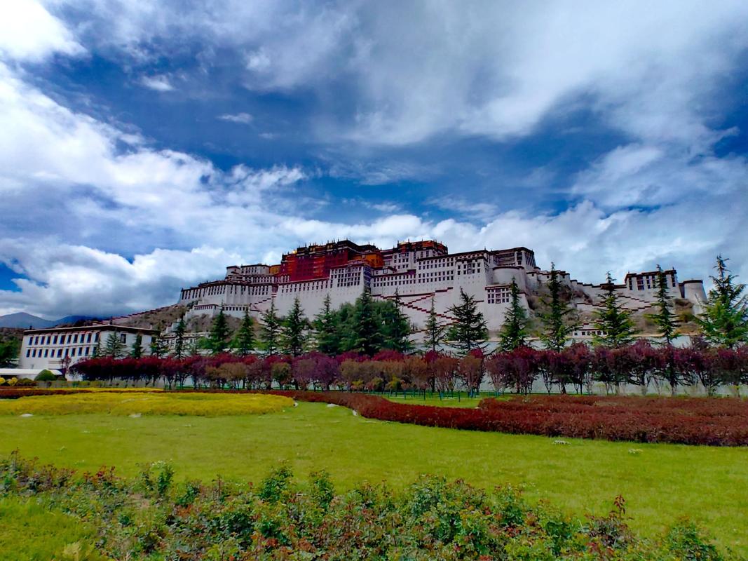 全国疫情最少的城市：西藏拉萨、山东东营、海南三沙、广西崇左