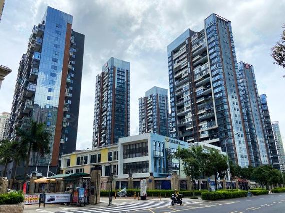 _疫情最新深圳通告进展情况_疫情最新深圳