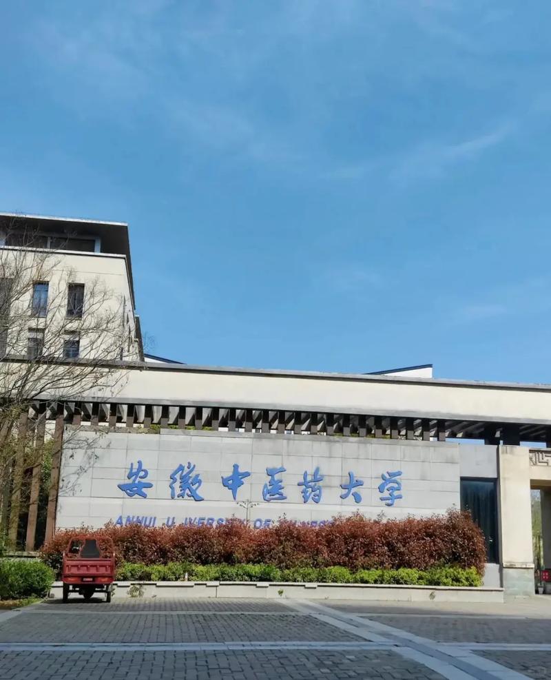 安徽中医院大学药学院简介：历史沿革与专业成就