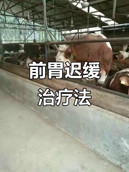 疫情最新消息白城通知图片_白城疫情最新通报_