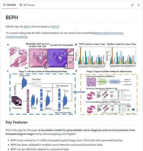 31 provinces newly added local confirmed cases and asymptomatic infections on ... date
