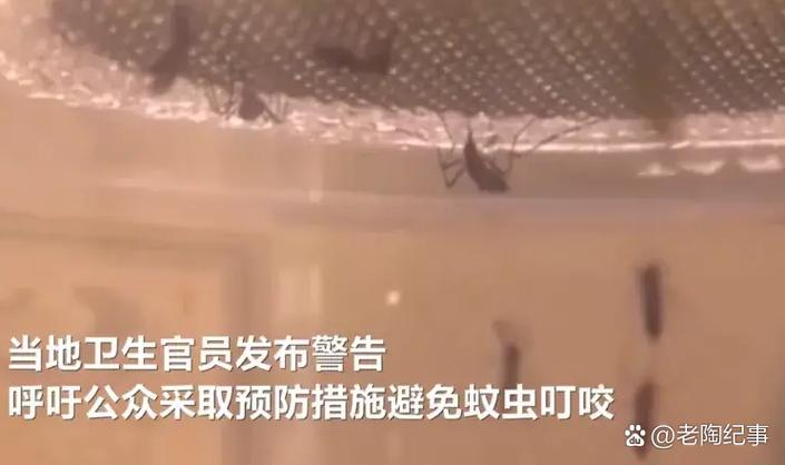 以色列西尼罗病毒疫情致 62 人死亡，无特效药和疫苗