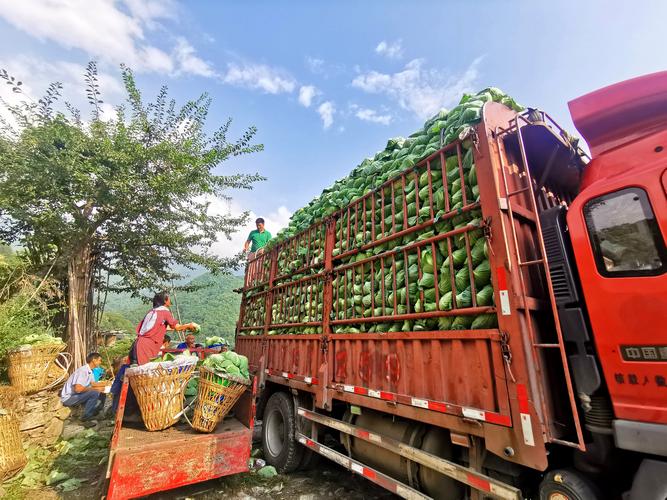 _湖北枝江市疫情_湖北枝江肺炎疫情最新消息