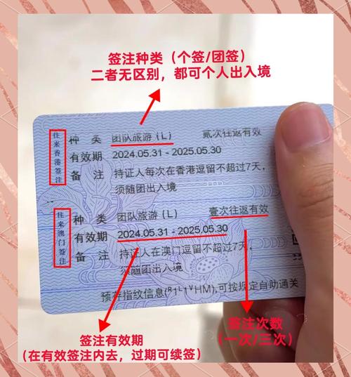 _澳门疫情最新进展_澳门疫情最新数据统计